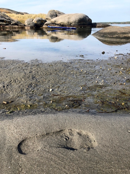 Lämna endast fotavtryck i naturen